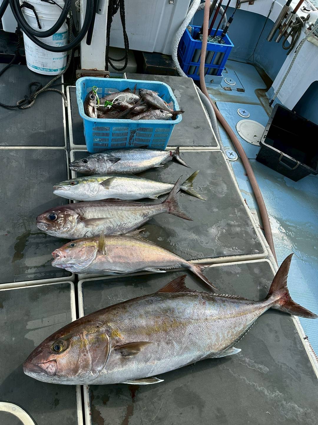 本日の釣果一覧